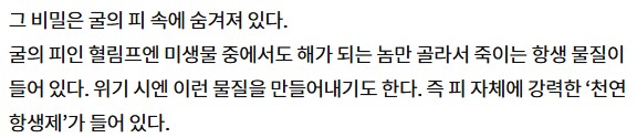 ㅇㅇㄱ)그래도 굴은 인류의 희망이다._1.png