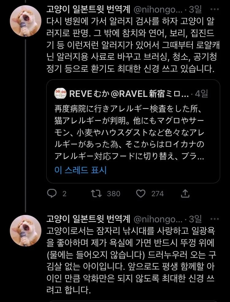 고양이 알레르기를 가진 고양이_2.jpg