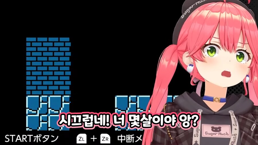 버튜버)"사람은 정곡을 찔리면 나이를 들먹인다"_2.png