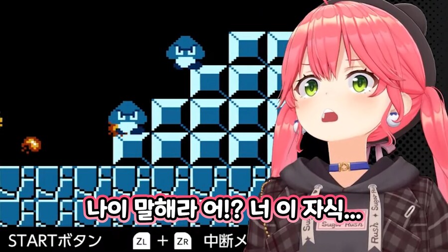 버튜버)"사람은 정곡을 찔리면 나이를 들먹인다"_4.png