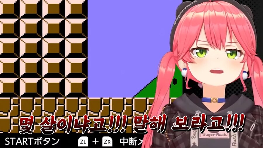 버튜버)"사람은 정곡을 찔리면 나이를 들먹인다"_8.png