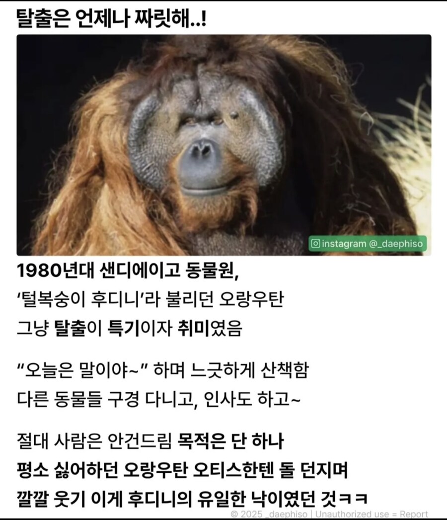 동물원의 한 탈출광_1.jpg