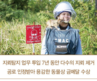 캄보디아에 파병하지고 하는 사람들이 모르는거_4.jpg