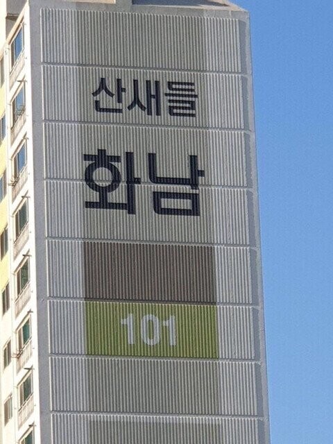도심속 소음공해 때문에 화가 난 새들_1.jpg