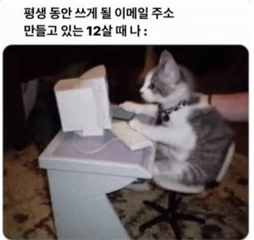 대부분 사람들의 이메일 주소가 유치한 이유.jpg_1.jpg
