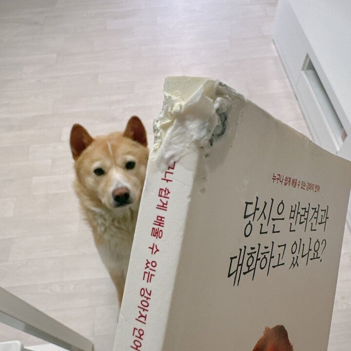 그런거에 의존하지 마라 휴먼_1.jpg