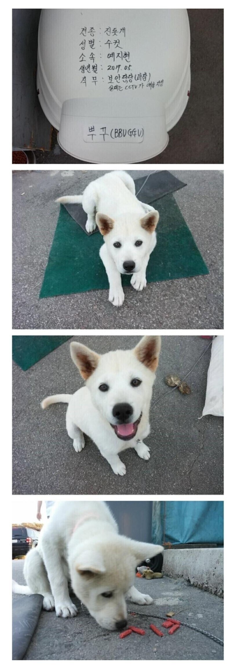 중소기업 보안팀 과장님.jpg_1.jpg