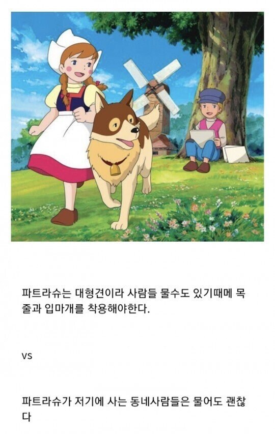 50년 전 애니메이션_2.jpg