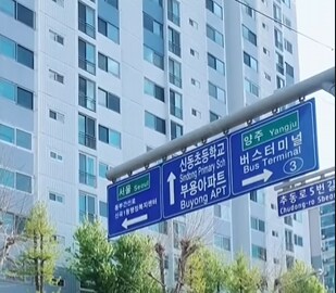 도로교통법을 잘 모르는 사람_2.png