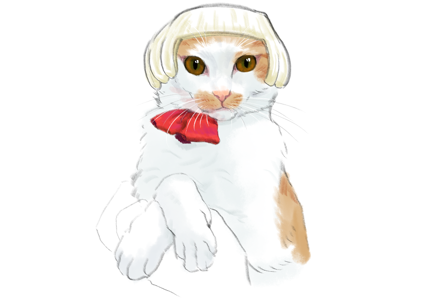 고양이) 넘으집 고양이_1.png