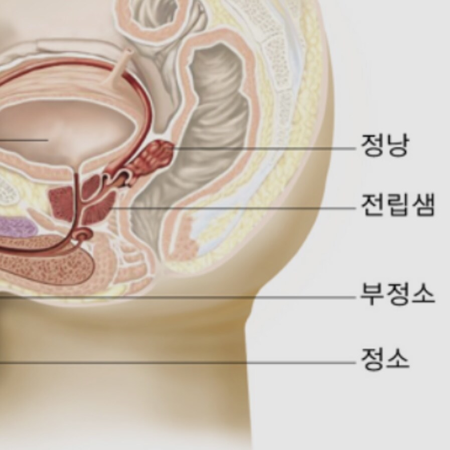 의외로 이름값 못하는 신체 기관_1.jpg