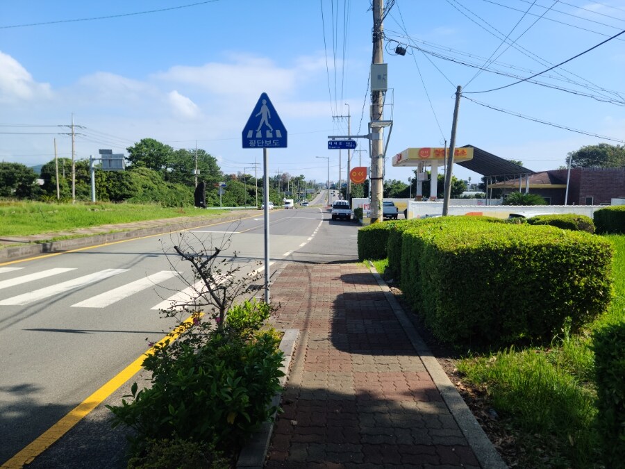 제주 환상 자전거길 234km 도보여행 4일차 -스압주의-_42.jpg