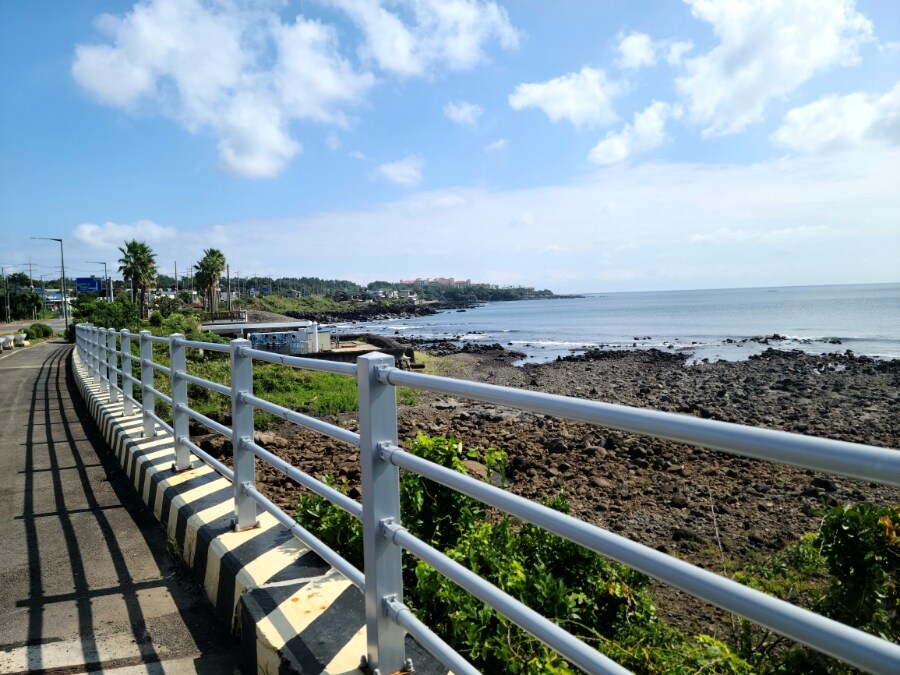 제주 환상 자전거길 234km 도보여행 4일차 -스압주의-_44.jpg