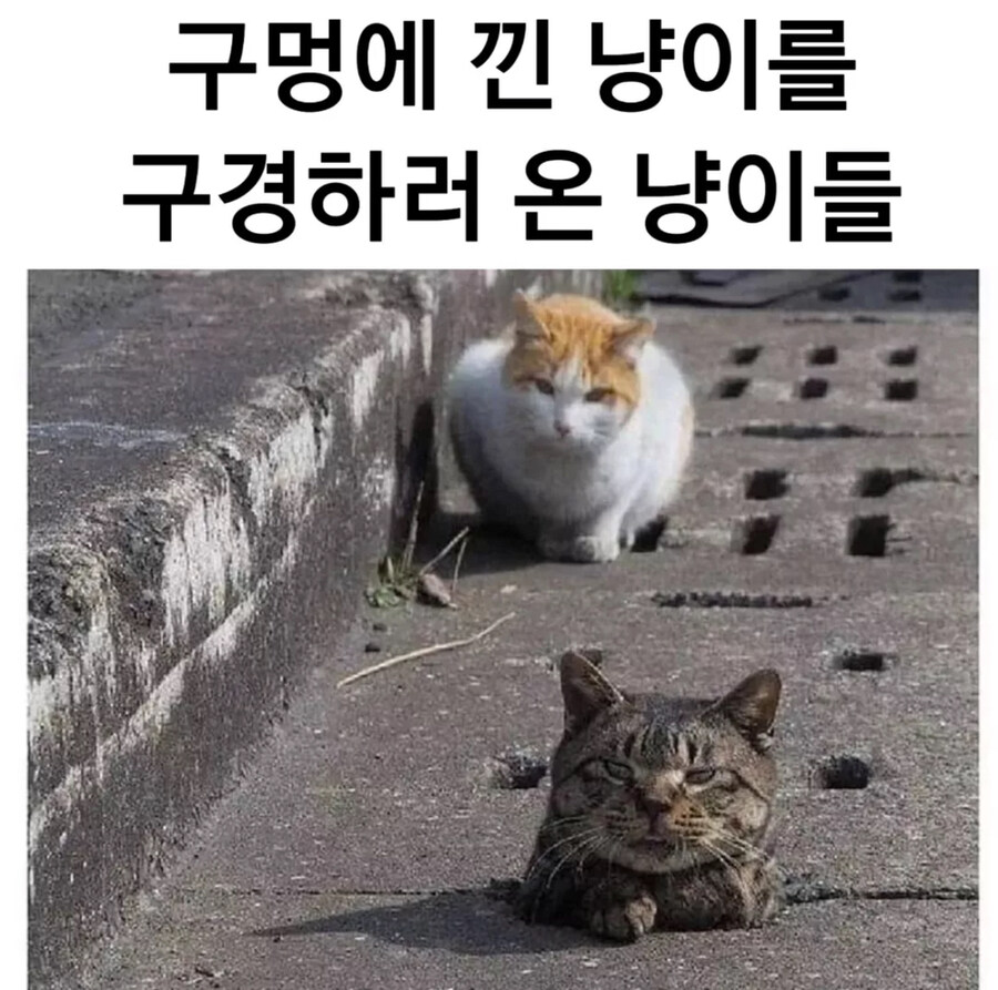 얔ㅋㅋㅋ 이 색키 봐랔ㅋㅋㅋ.jpg_1.jpg