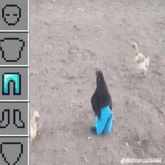 (라오) 새 옷(?) 입은 슬레이프니르_3.jpg