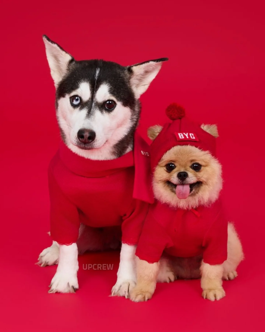 BYC)멍멍이 김장룩_4.webp
