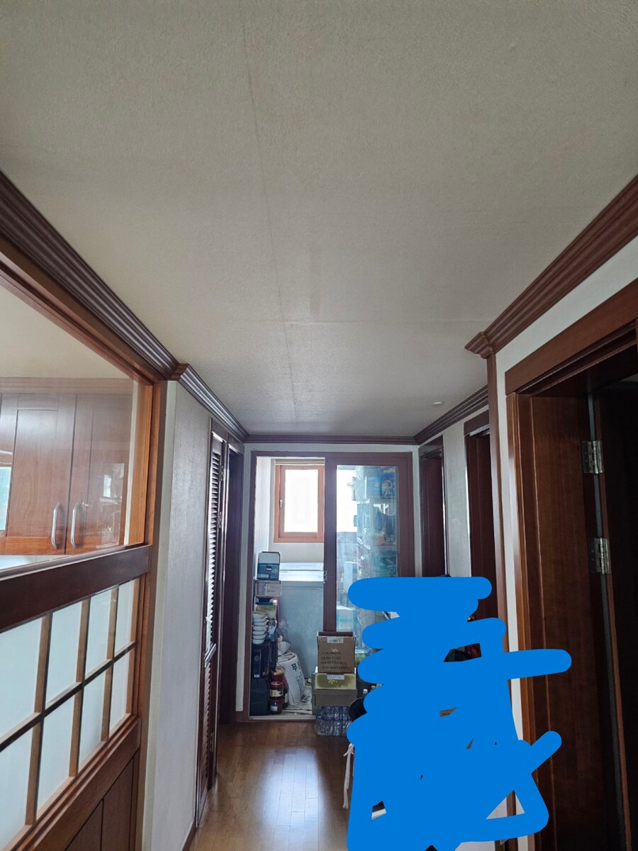 집 천장에 주먹만한 구멍을 뚫었습니다_1.jpg