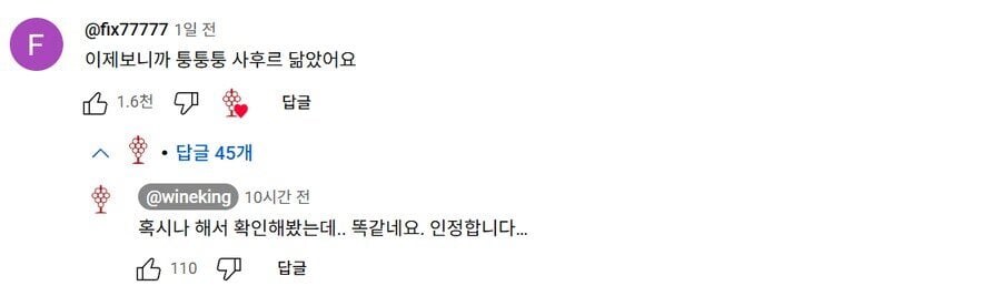 새로 오픈한 모수가 아쉽다던 유튜버에게 달린 악플_1.jpg