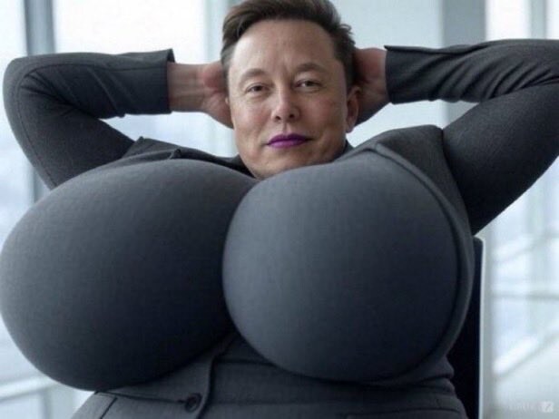 트위터 둘러보다가 폭유 일론 머스크 짤을 봐버렸어 ㅠㅠㅠㅠㅠ_1.jpg