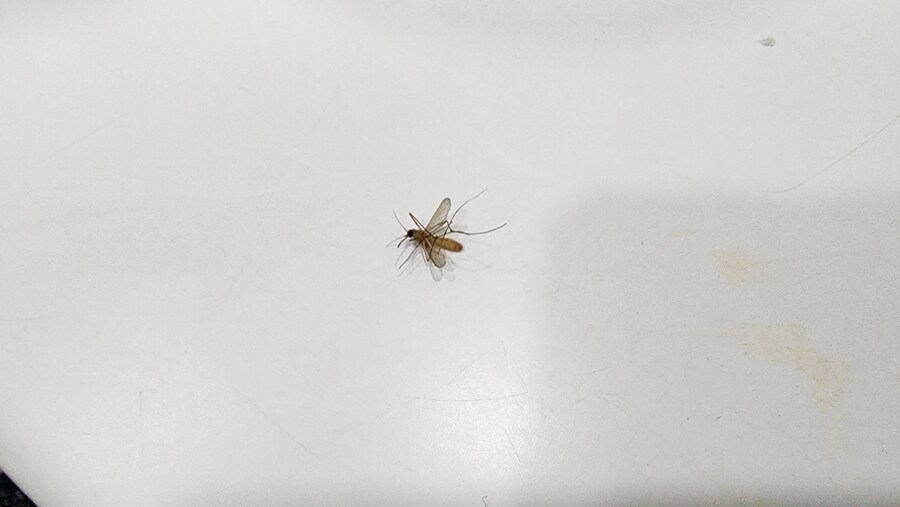 의외로 하고나면 기분 좋은거ㅅㅅ_2.jpg