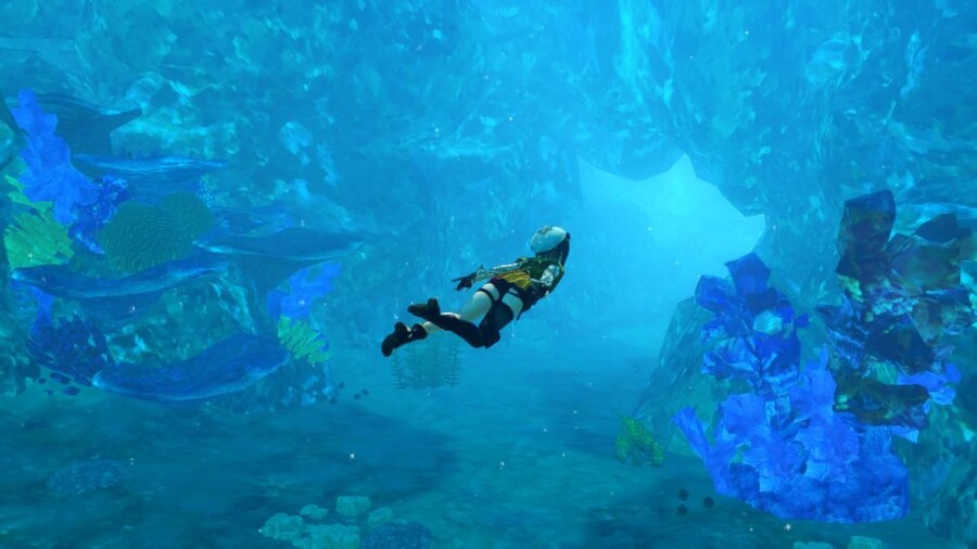 라이자의 아틀리에 트릴로지 DX NS1/NS2 스샷,용량 및 업그레이드 패스 없음_21.jpg