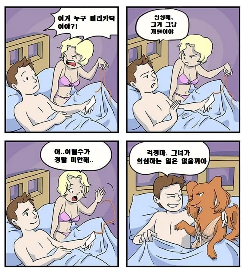 개랑 바람피다 걸린 남편_3.webp