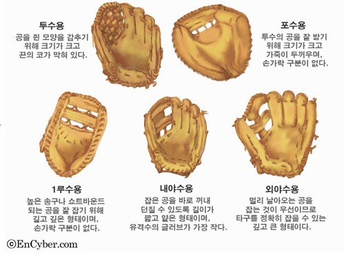 야구 장비에서 가장 비싼 물건_1.jpg
