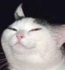 [크림과쿠키] 오늘도 쓰시마 탈환하러 가요!_1.jpg