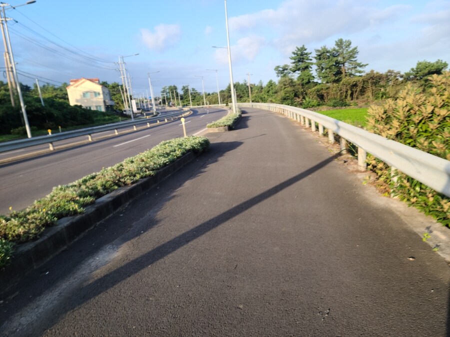 제주 환상 자전거길 234km 도보여행 6일차 完 -스압주의-_31.jpg