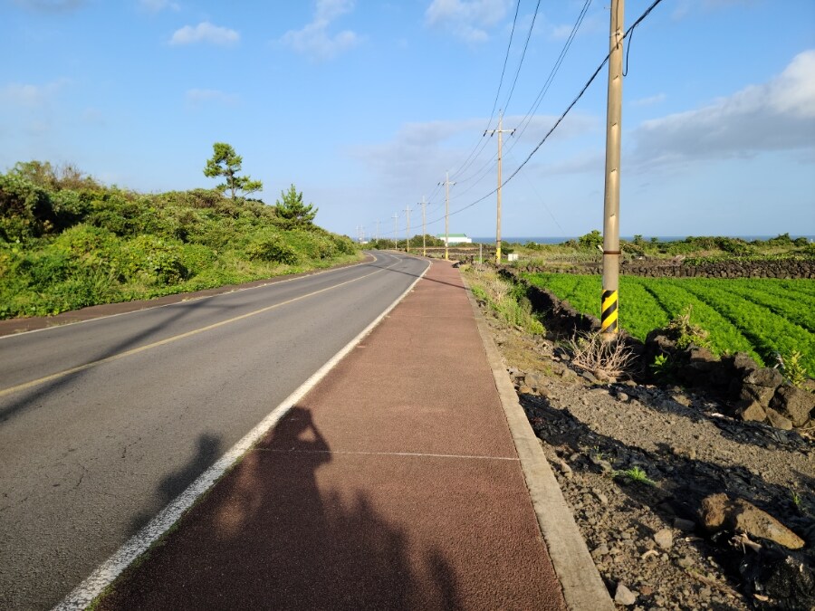제주 환상 자전거길 234km 도보여행 6일차 完 -스압주의-_44.jpg
