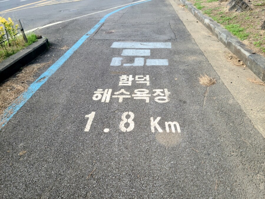 제주 환상 자전거길 234km 도보여행 6일차 完 -스압주의-_88.jpg