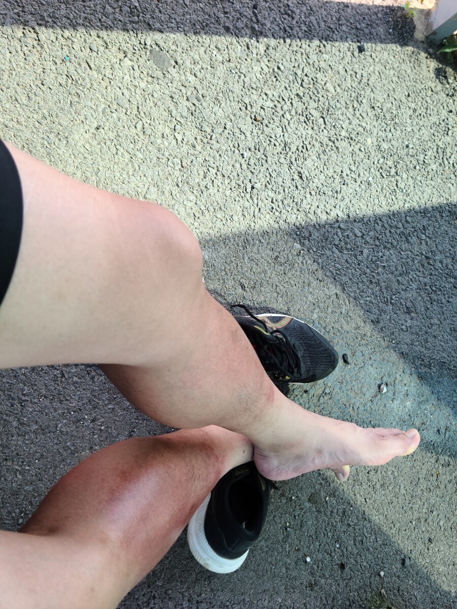 제주 환상 자전거길 234km 도보여행 6일차 完 -스압주의-_115.jpg