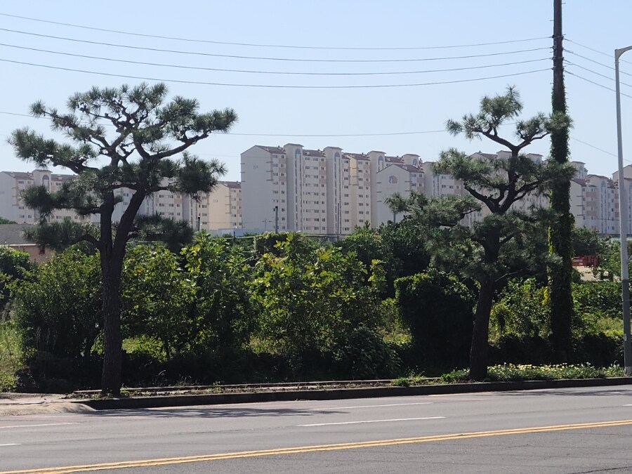 제주 환상 자전거길 234km 도보여행 6일차 完 -스압주의-_119.jpg