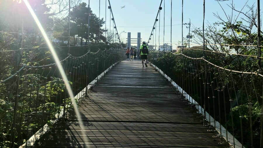 제주 환상 자전거길 234km 도보여행 6일차 完 -스압주의-_140.jpg
