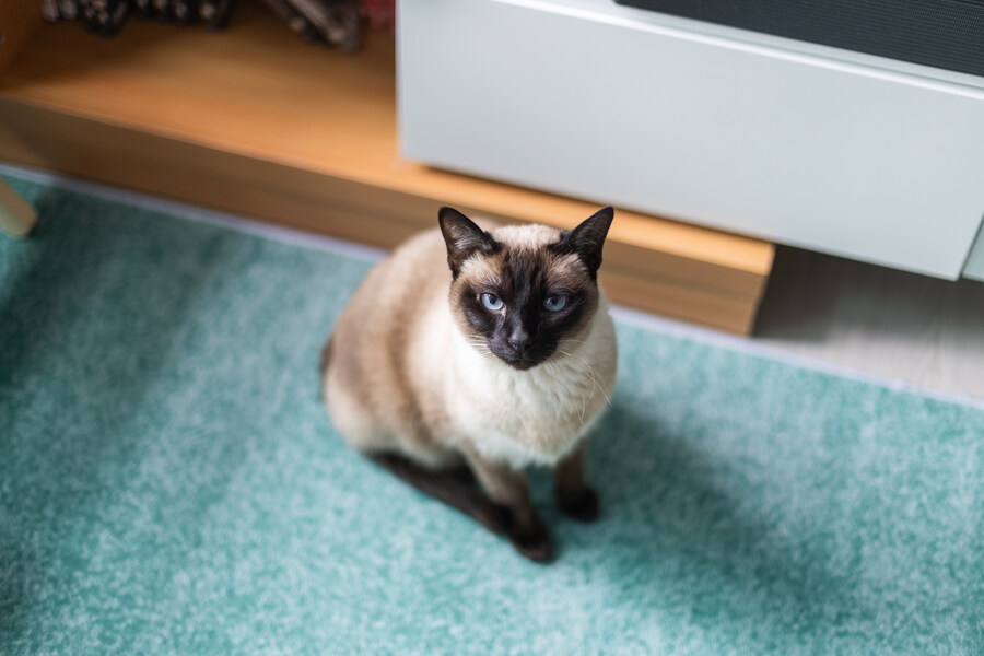 (혼자사는) 25평 아파트 입주 8개월차 (스압)_43.jpg