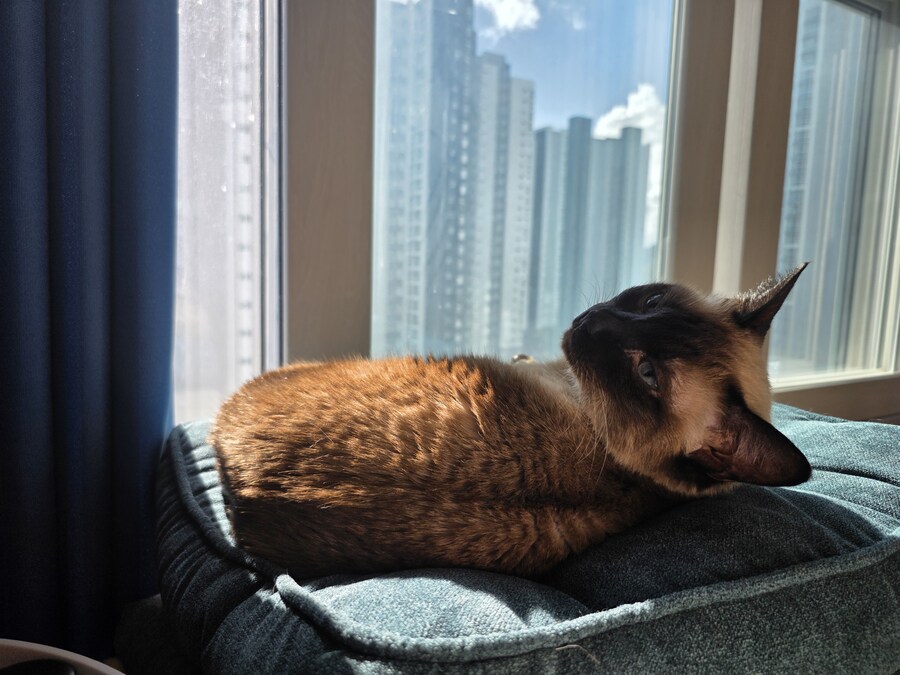 (혼자사는) 25평 아파트 입주 8개월차 (스압)_3.jpg