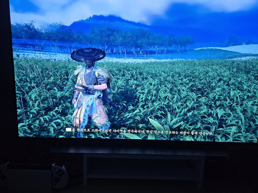 버그때문에 못해먹겠네요_1.jpg