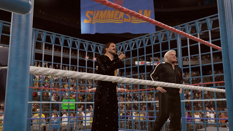 WWE 2K15_3.jpg