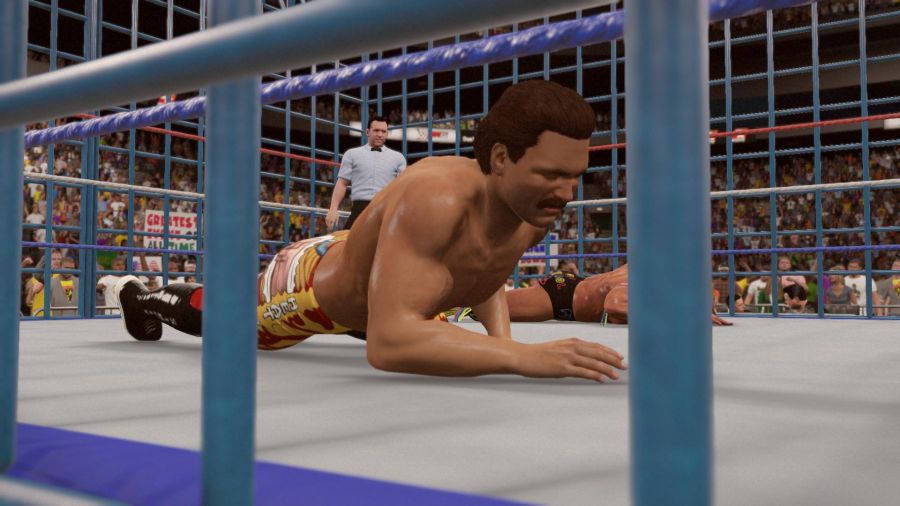 WWE 2K15_19.jpg