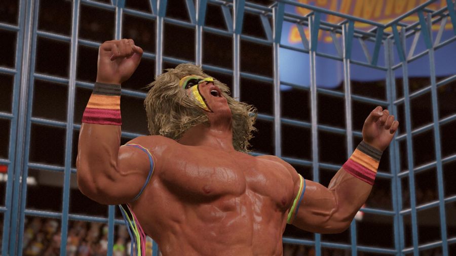 WWE 2K15_25.jpg
