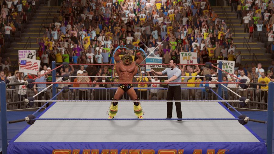 WWE 2K15_26.jpg