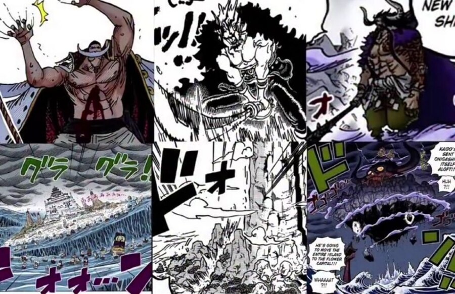 원피스]록스 해적단 멤버 특_1.jpg