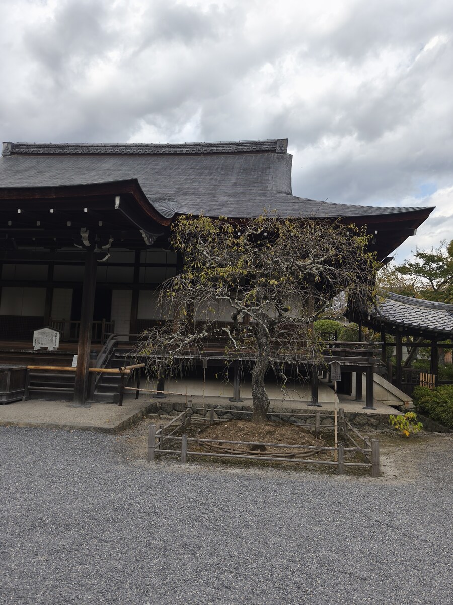 교토 오사카 여행 1_30.jpg