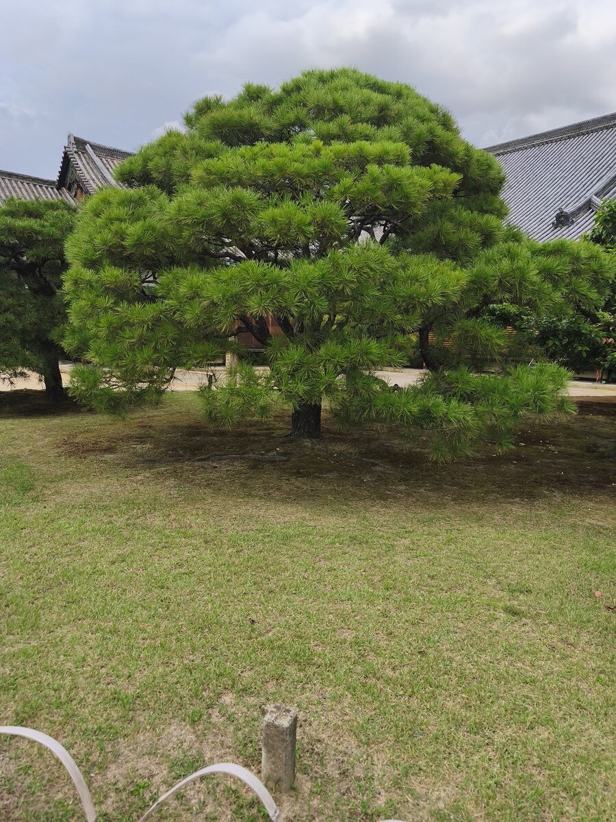 교토 오사카 여행 1_46.jpg