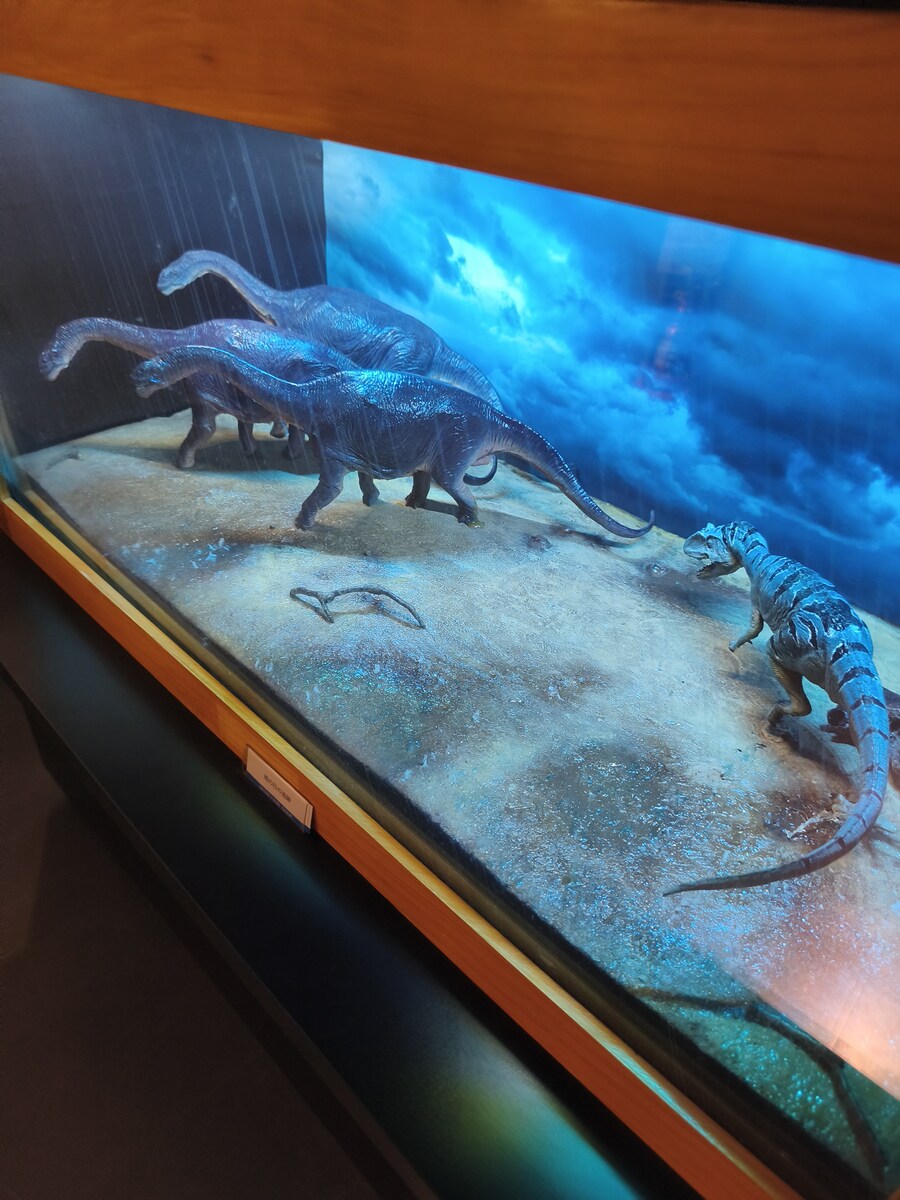 오사카 여행 2_69.jpg