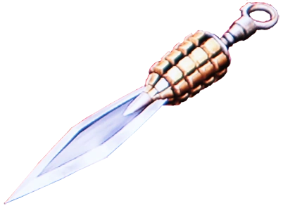 고스트 오브 요테이와 닌자 가이덴_6.webp