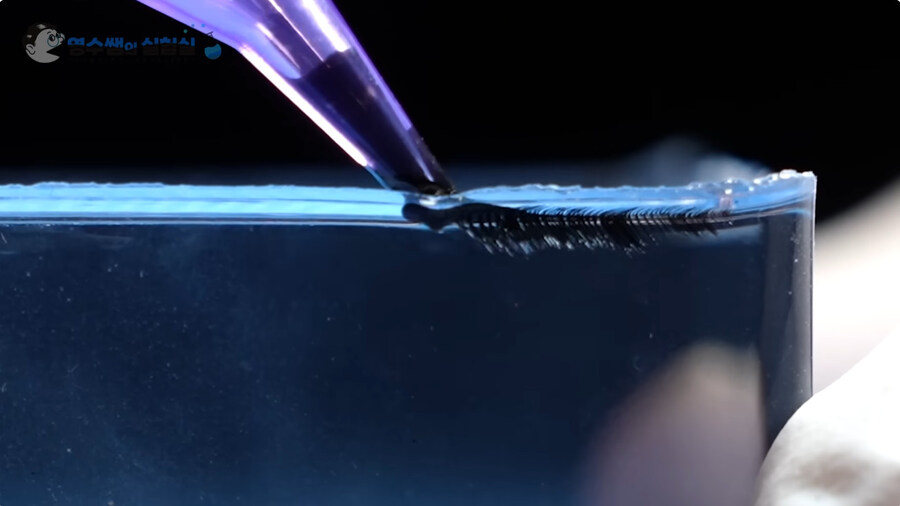 문신이 안지워지는 원리에 대하여 아라보도록 하자_8.jpg