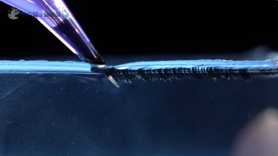 문신이 안지워지는 원리에 대하여 아라보도록 하자_10.jpg