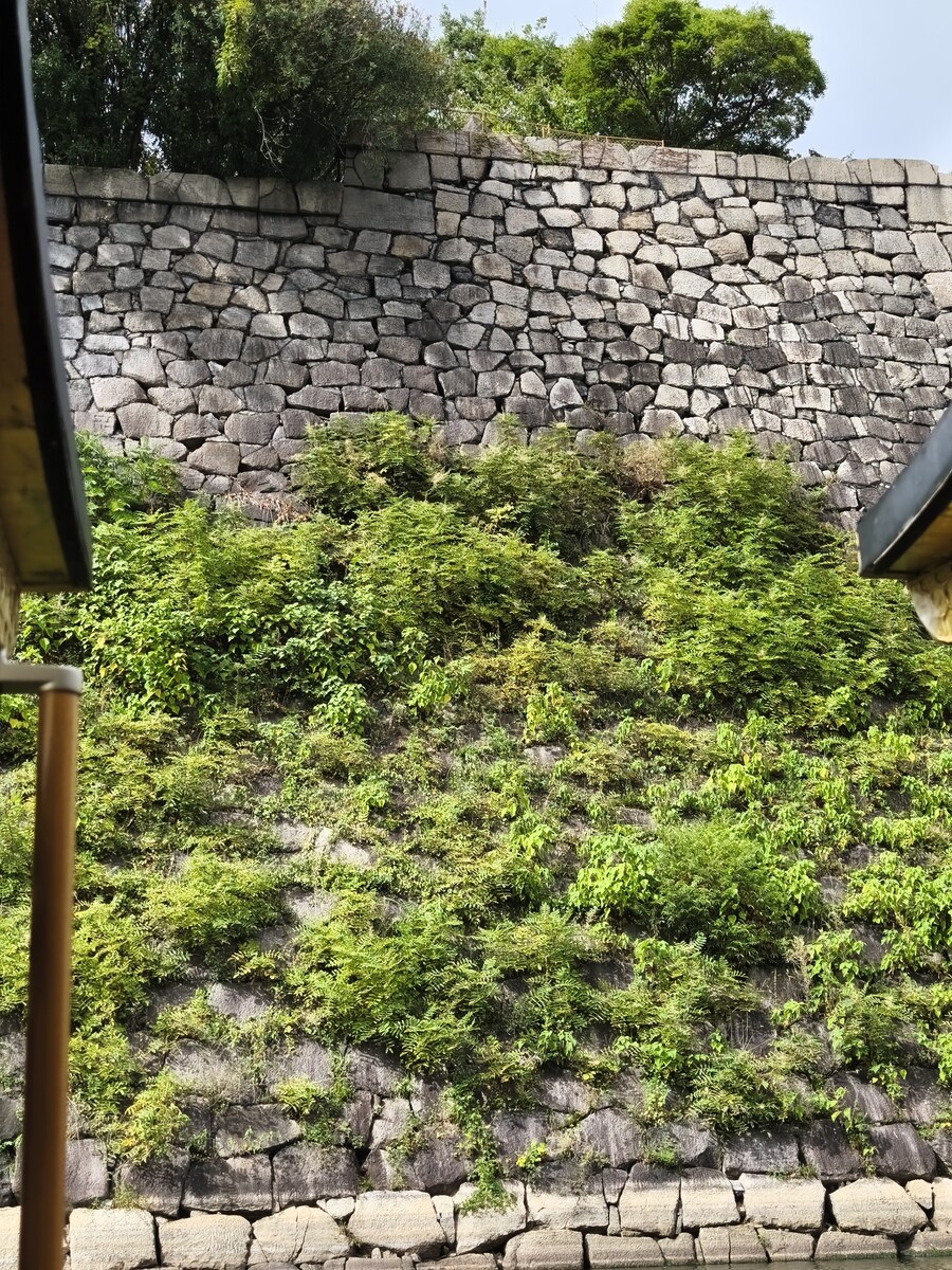 오사카 여행 3_7.jpg