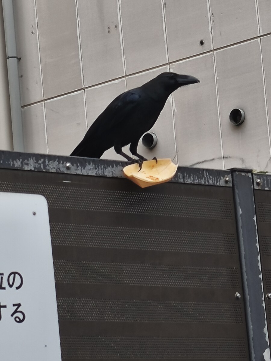 오사카 여행 3_91.jpg